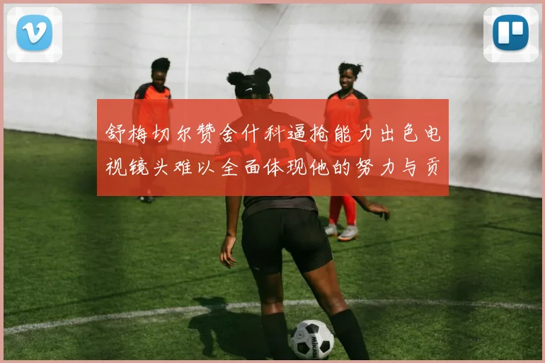 舒梅切尔赞舍什科逼抢能力出色电视镜头难以全面体现他的努力与贡献
