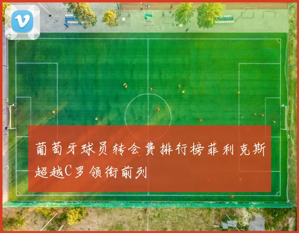 葡萄牙球员转会费排行榜菲利克斯超越C罗领衔前列