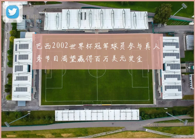 巴西2002世界杯冠军球员参与真人秀节目渴望赢得百万美元奖金